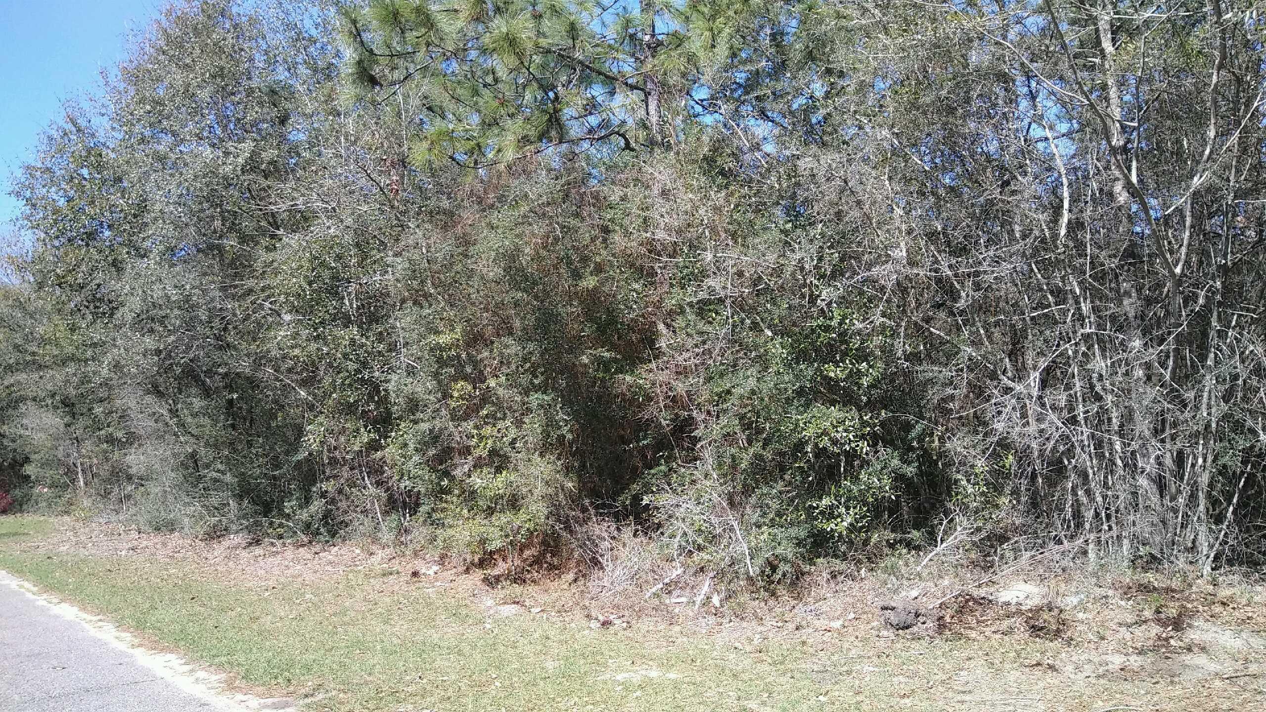 Xx Young Road Crestview, FL 32539 - Photo 4 of 5 Gallery Image 4