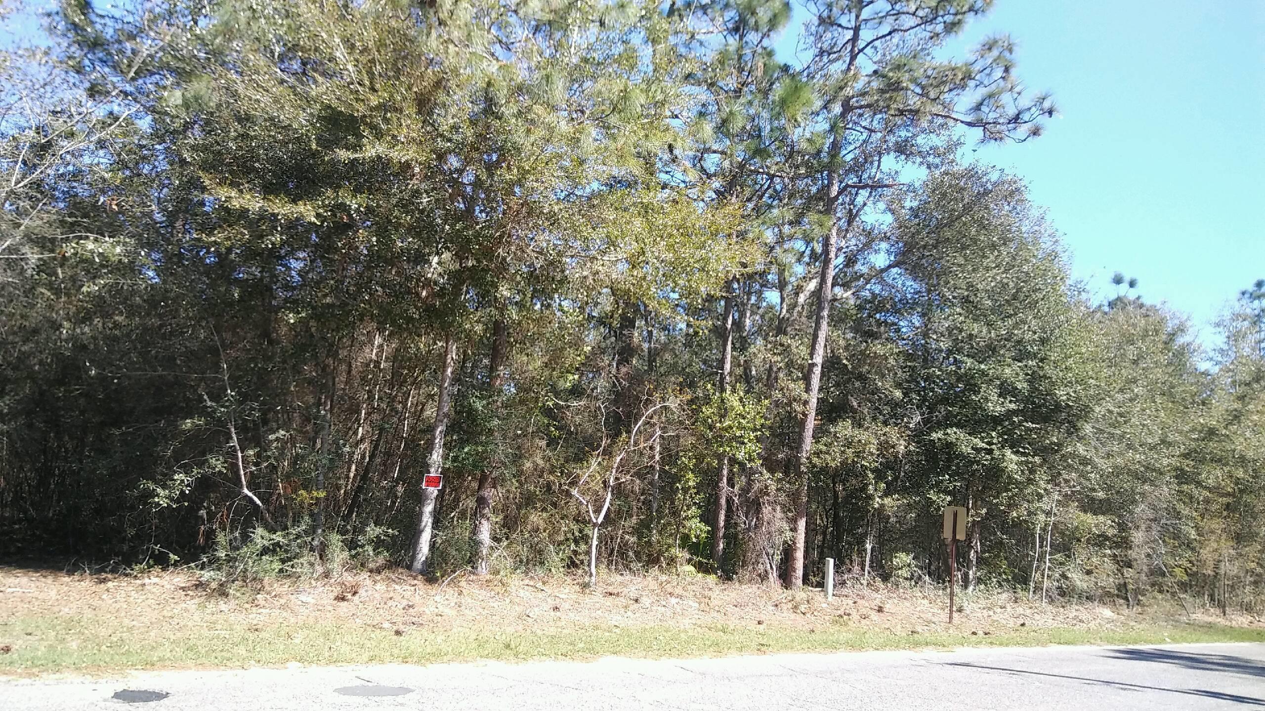 Xx Young Road Crestview, FL 32539 - Photo 5 of 5 Gallery Image 5