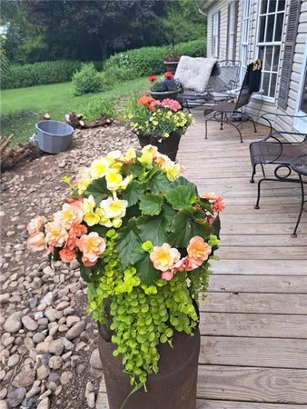 a garden with flowers and fire pit