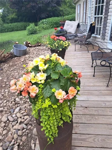 a garden with flowers and fire pit