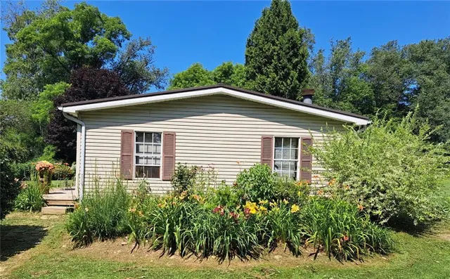 a white house with a small yard plants and large tree