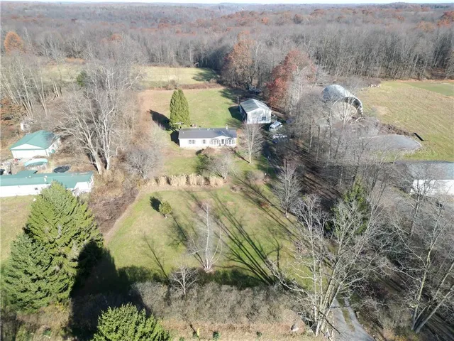a view of a yard with plants