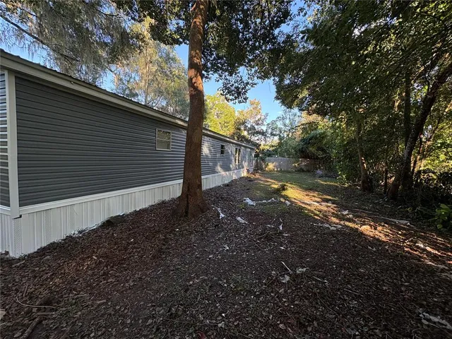 a view of road with large trees