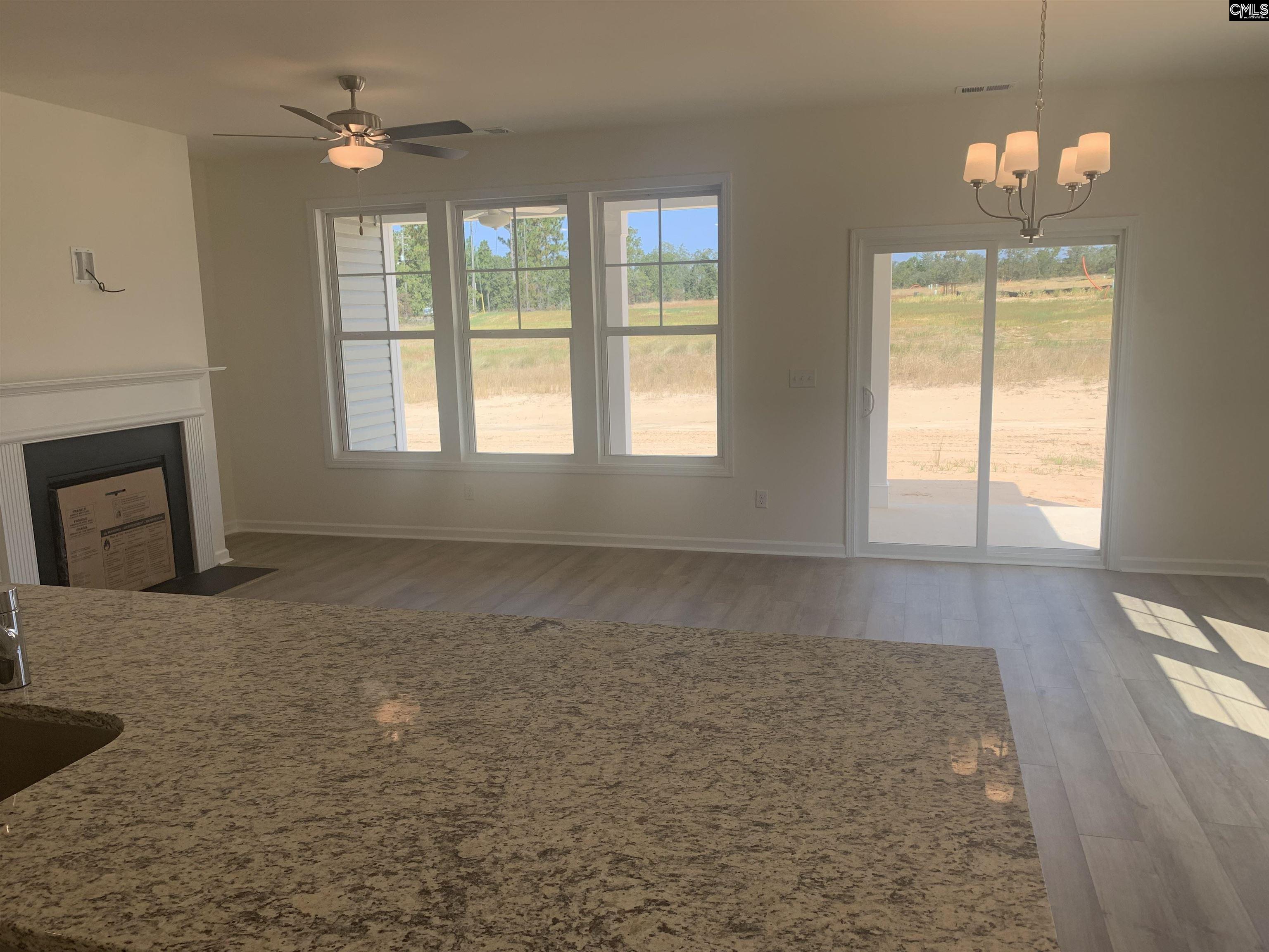 207 Ruby Prince Way Lexington, SC 29073 - Photo 4 of 30