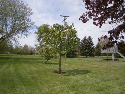 6133 North Chipman Road Henderson, MI 48841 - Photo 4 of 7 31319339-3.JPG
