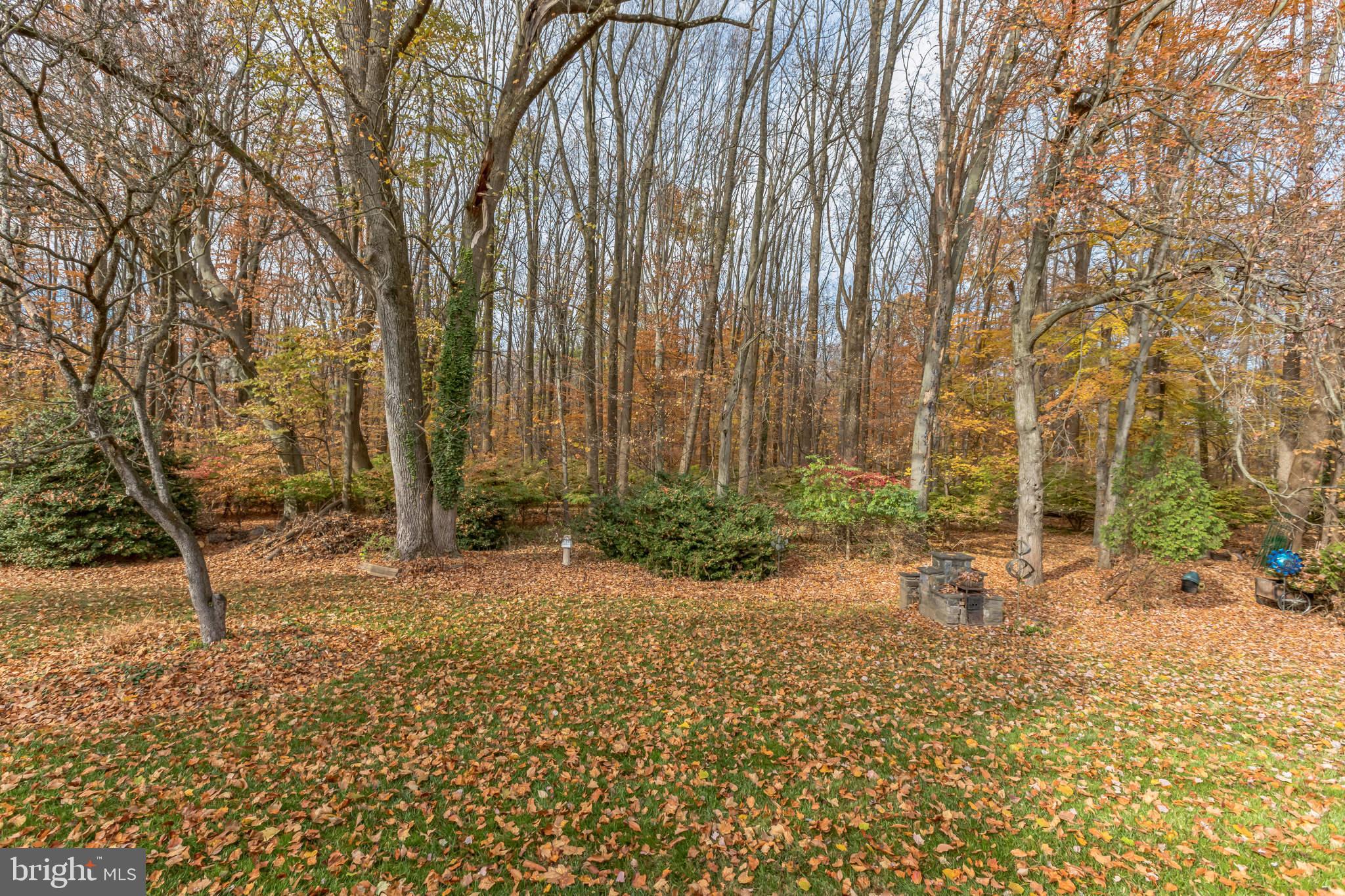 517 Montgomery Road Ambler, PA 19002 - Photo 44 of 71 Gallery Image 44