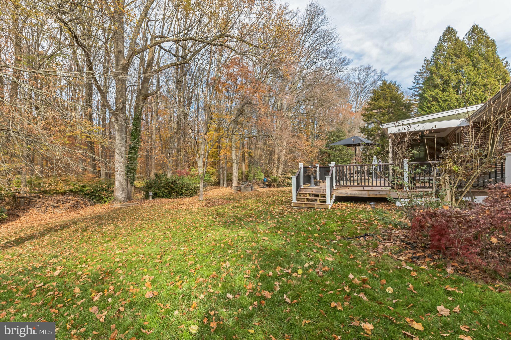 517 Montgomery Road Ambler, PA 19002 - Photo 45 of 71 Gallery Image 45