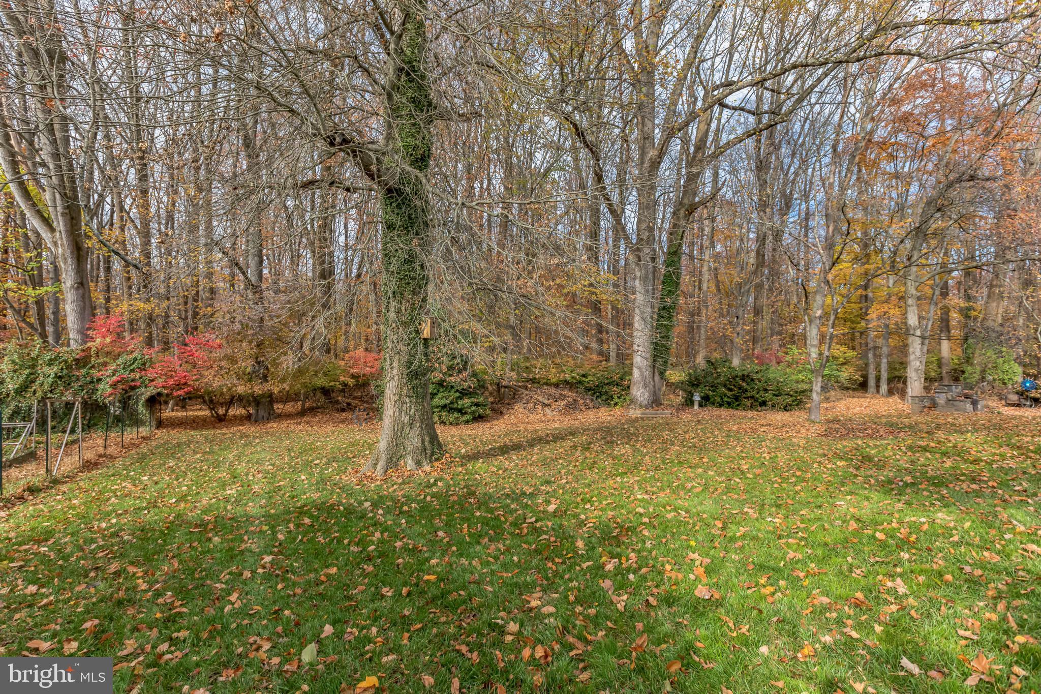 517 Montgomery Road Ambler, PA 19002 - Photo 46 of 71 Gallery Image 46