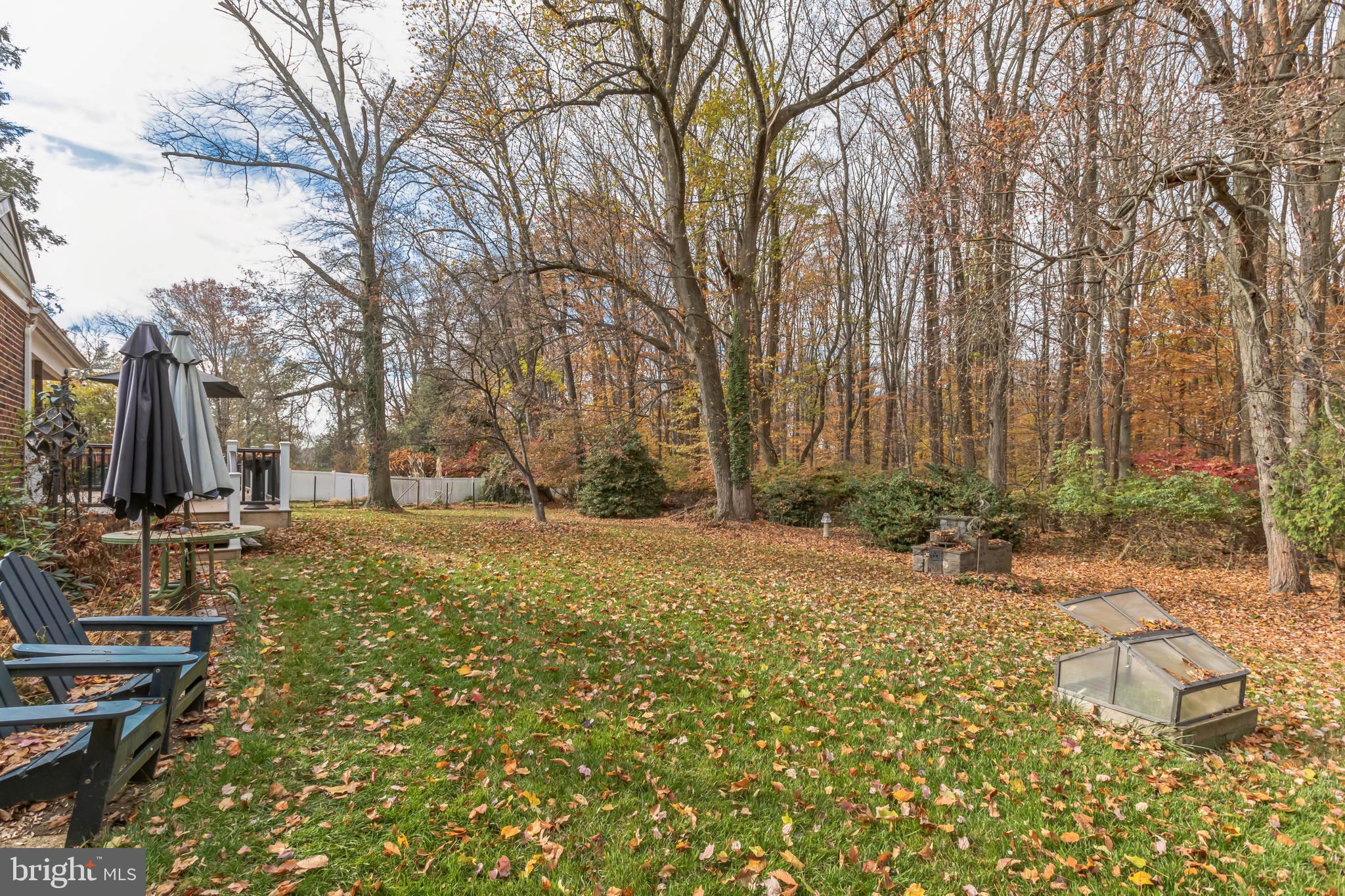 517 Montgomery Road Ambler, PA 19002 - Photo 48 of 71 Gallery Image 48