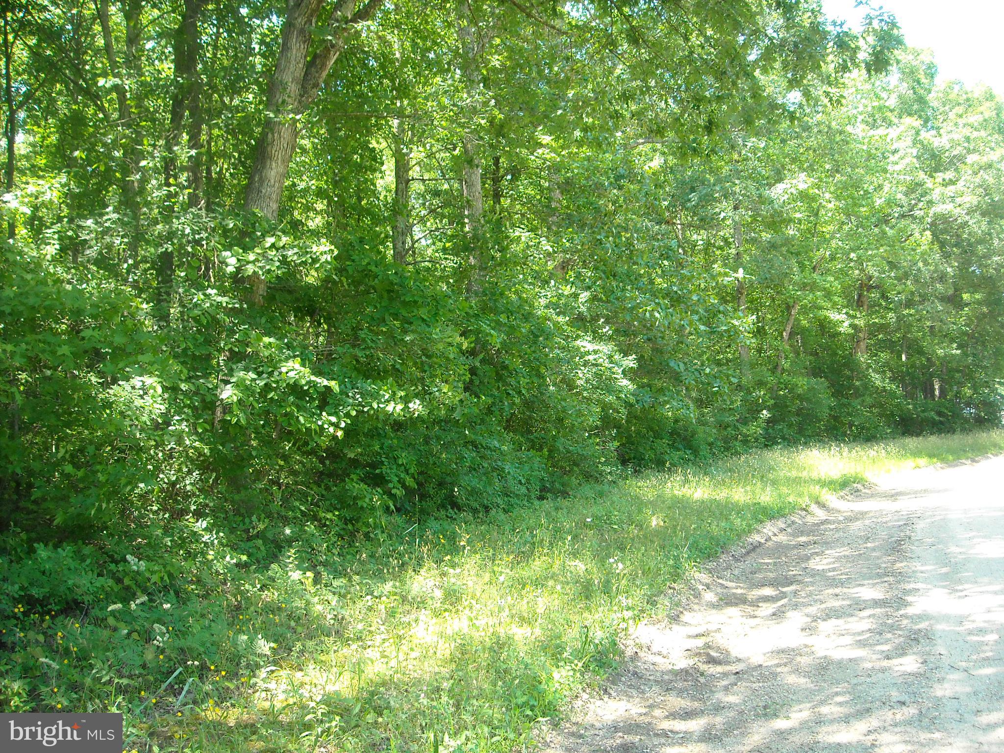 0 Trunk Line Road Henderson, MD 21640 - Photo 1 of 2 Gallery Image 1