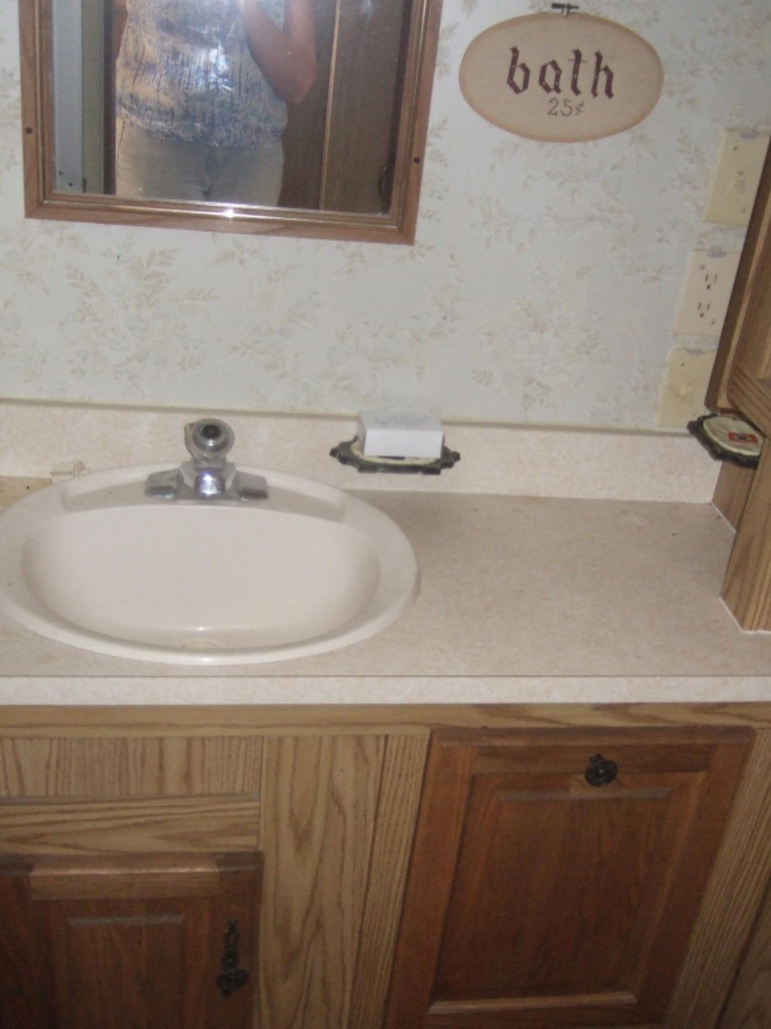 5564 North Elm Avenue Big Rapids, MI 49307 - Photo 14 of 24 IMG_E0729