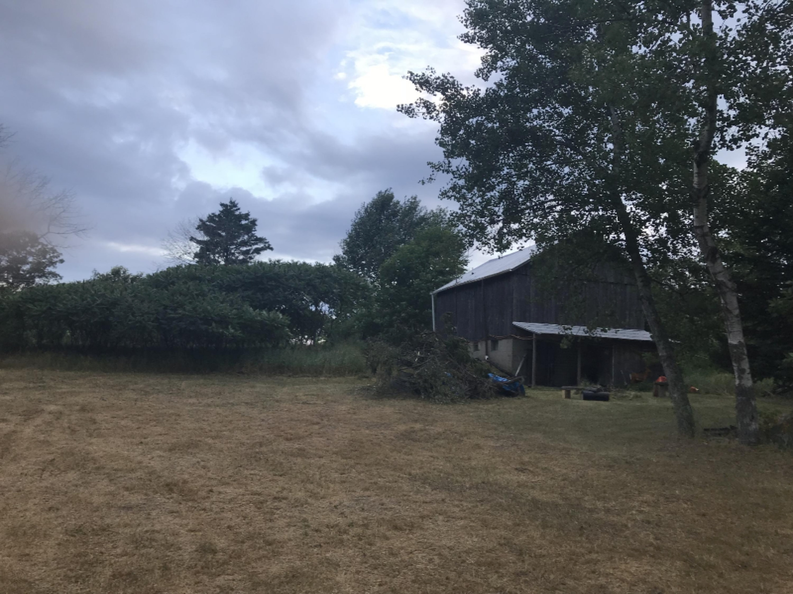 5564 North Elm Avenue Big Rapids, MI 49307 - Photo 2 of 24 IMG_0785