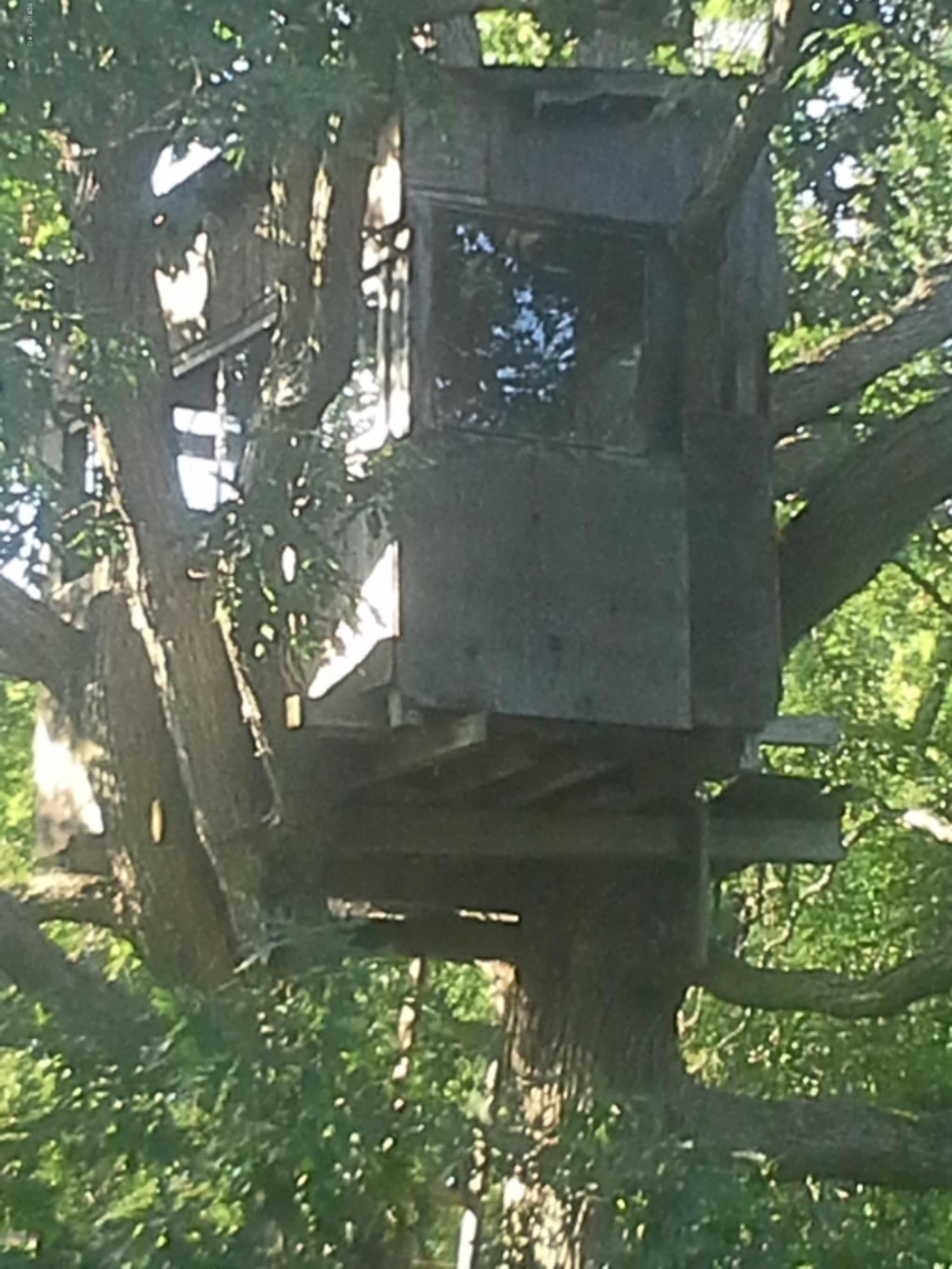 5564 North Elm Avenue Big Rapids, MI 49307 - Photo 21 of 24 20150715_190354 (1)