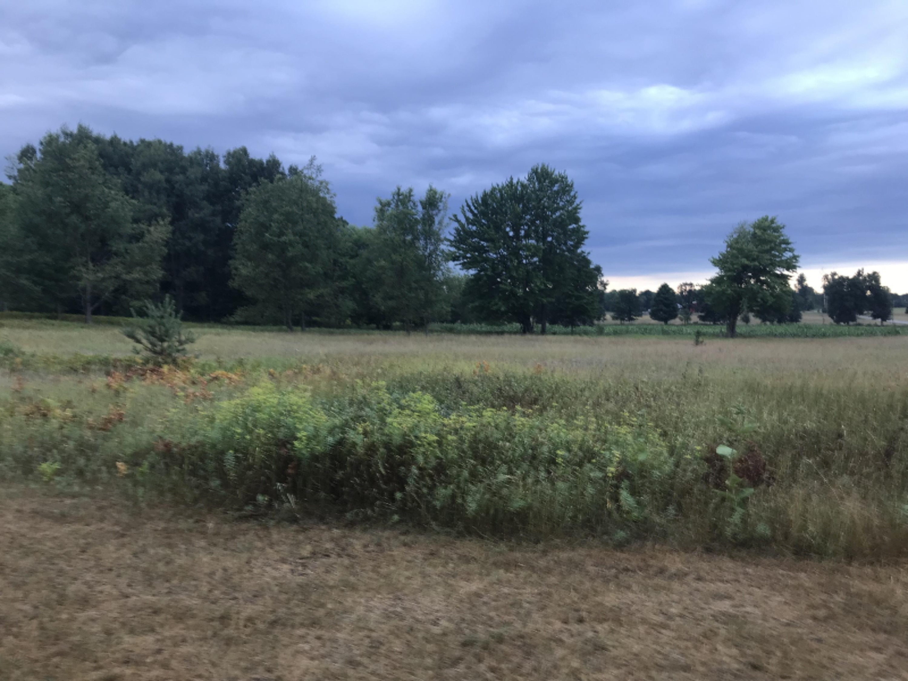 5564 North Elm Avenue Big Rapids, MI 49307 - Photo 3 of 24 IMG_0787