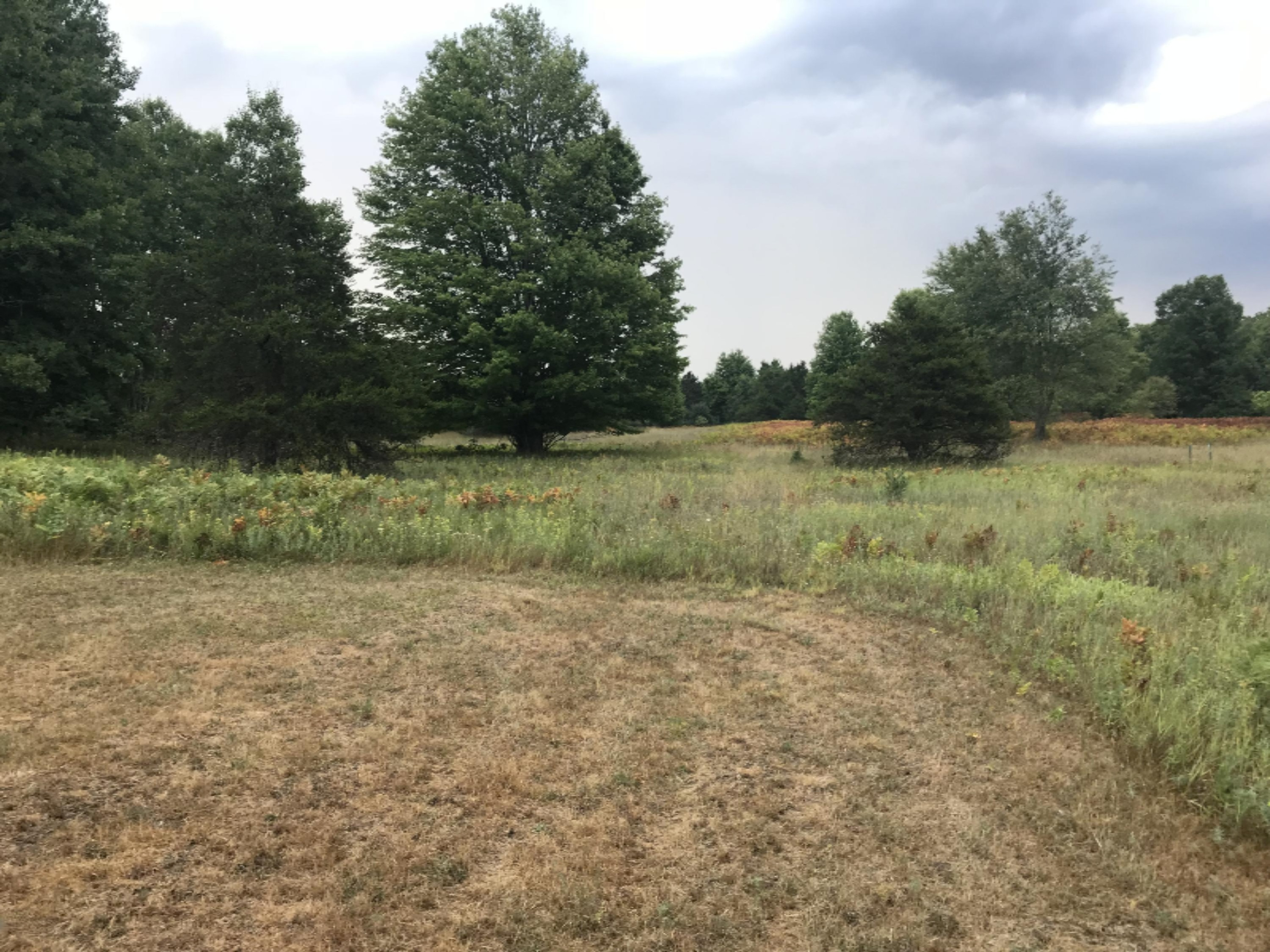 5564 North Elm Avenue Big Rapids, MI 49307 - Photo 4 of 24 IMG_0788