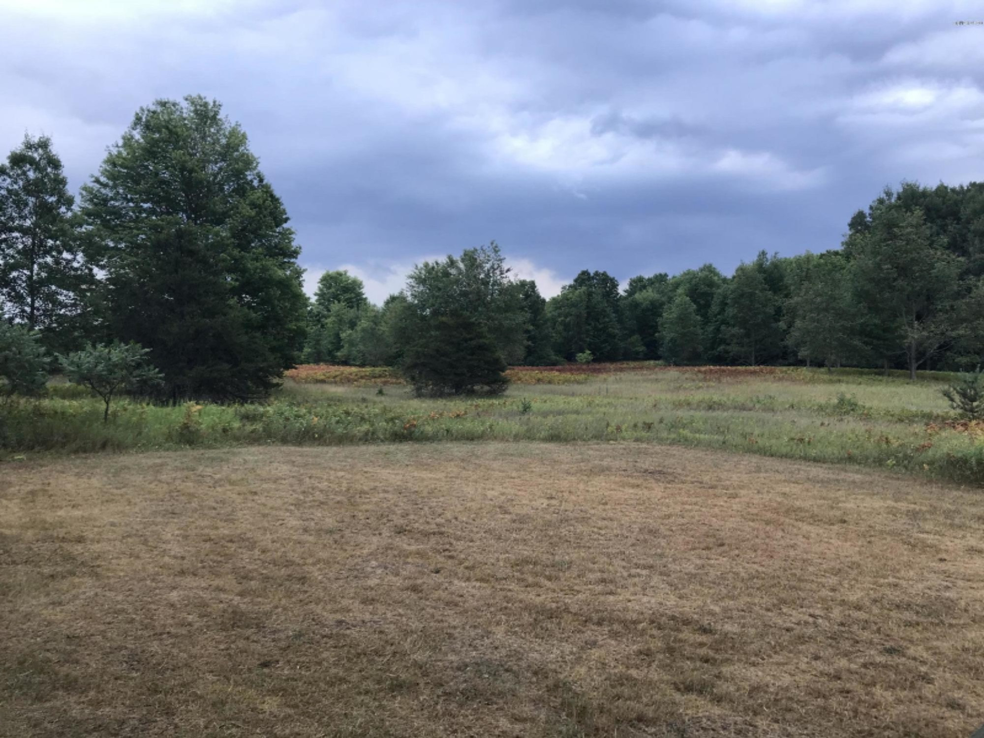 5564 North Elm Avenue Big Rapids, MI 49307 - Photo 6 of 24 IMG_0795