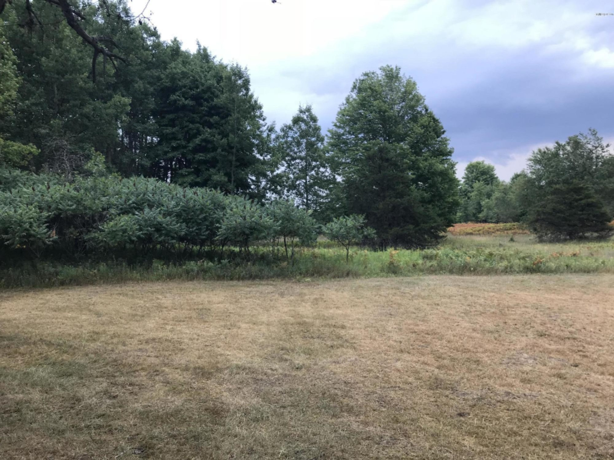 5564 North Elm Avenue Big Rapids, MI 49307 - Photo 7 of 24 IMG_0796