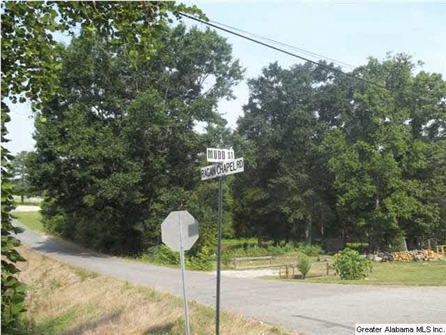 0 Mudd Street, Unit 4 48 AC Ohatchee, AL 36271 - Photo 5 of 12