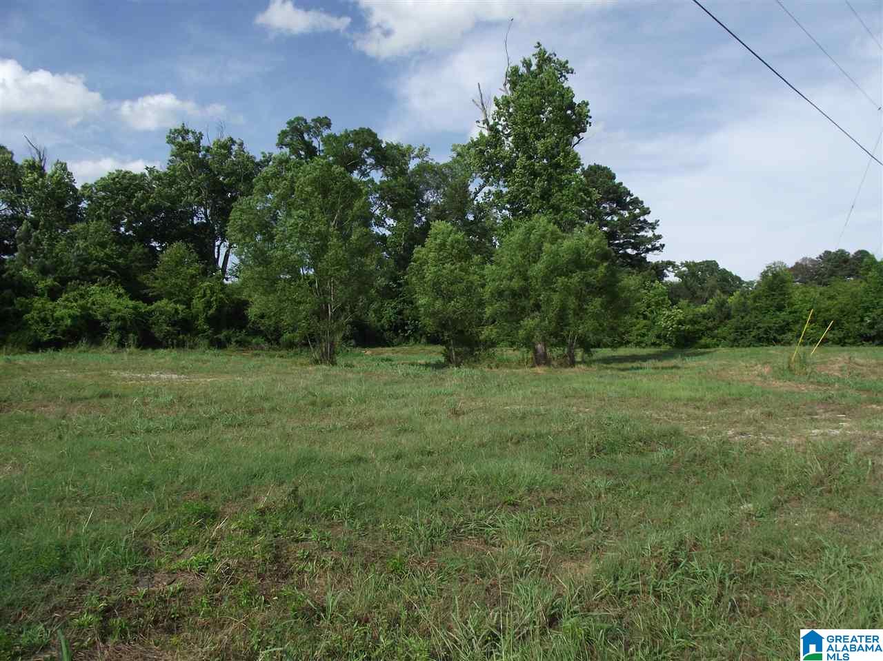 0 Logan Farms Road, Unit 1 Vance, AL 35490 - Photo 8 of 18