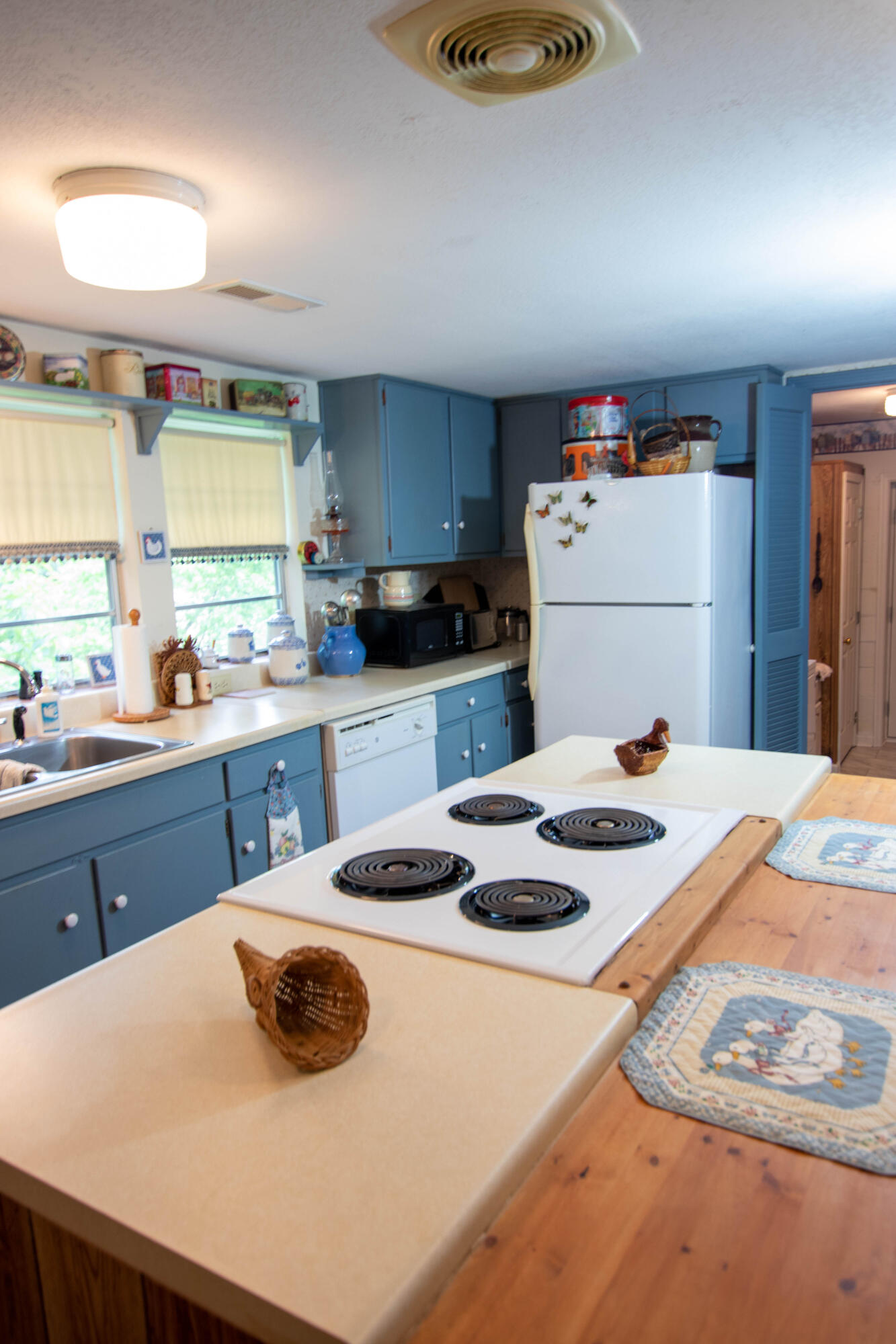 2432 Dripping Springs Road Seymour, TN 37865 - Photo 17 of 29 Kitchen...