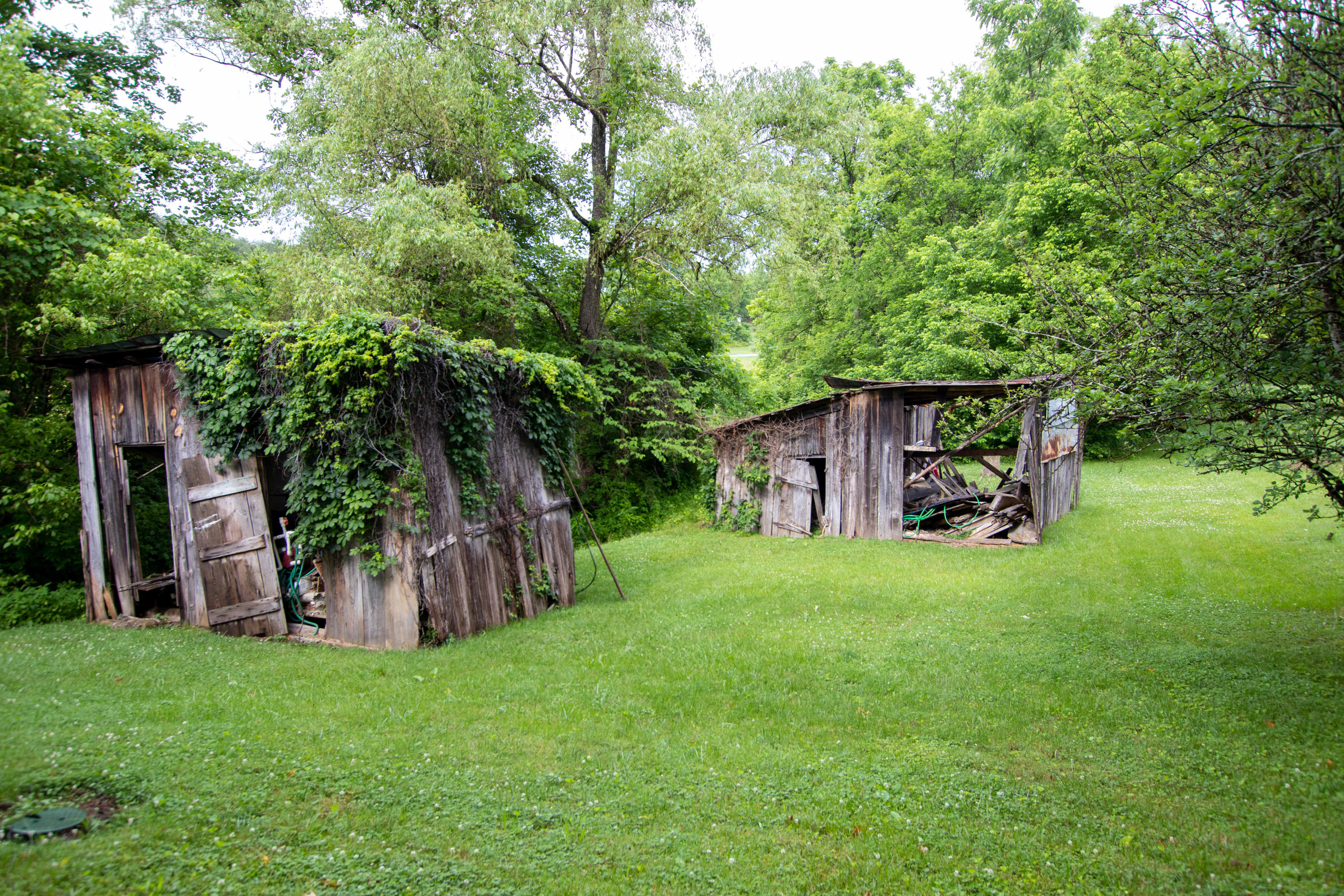 2432 Dripping Springs Road Seymour, TN 37865 - Photo 28 of 29 Old sheds...