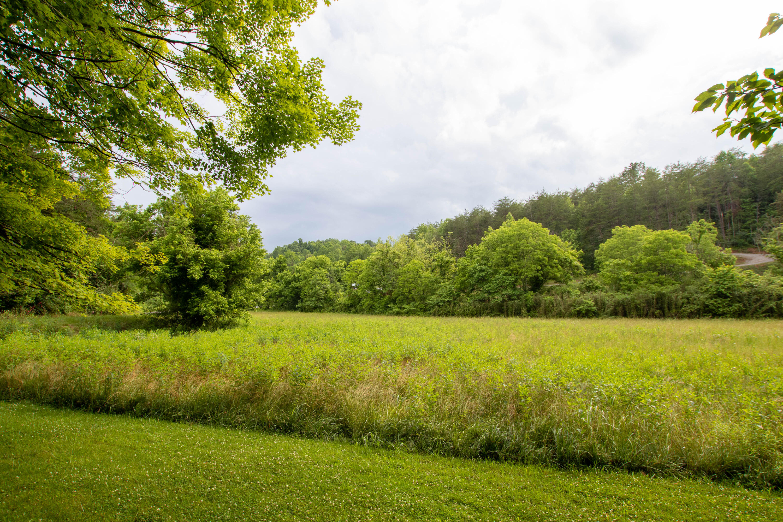2432 Dripping Springs Road Seymour, TN 37865 - Photo 7 of 29 Garden Field...