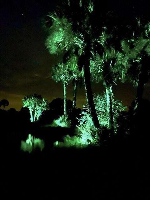 1303 Cabbage Lane Okeechobee, FL 34974 - Photo 11 of 14 a view of a yard