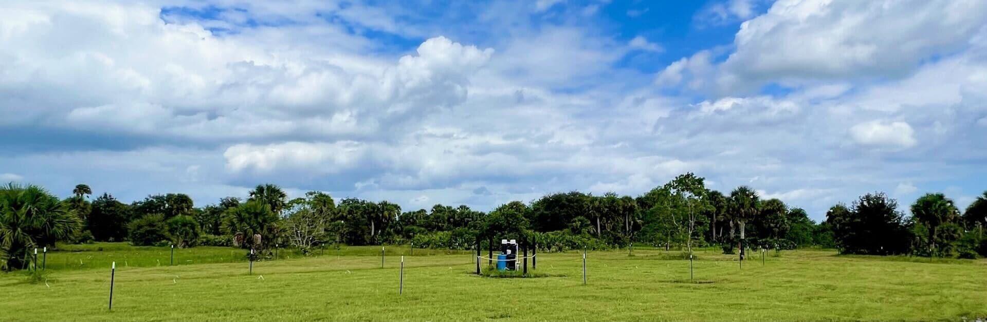 1303 Cabbage Lane Okeechobee, FL 34974 - Photo 10 of 14 a group of people playing a ground in a yard