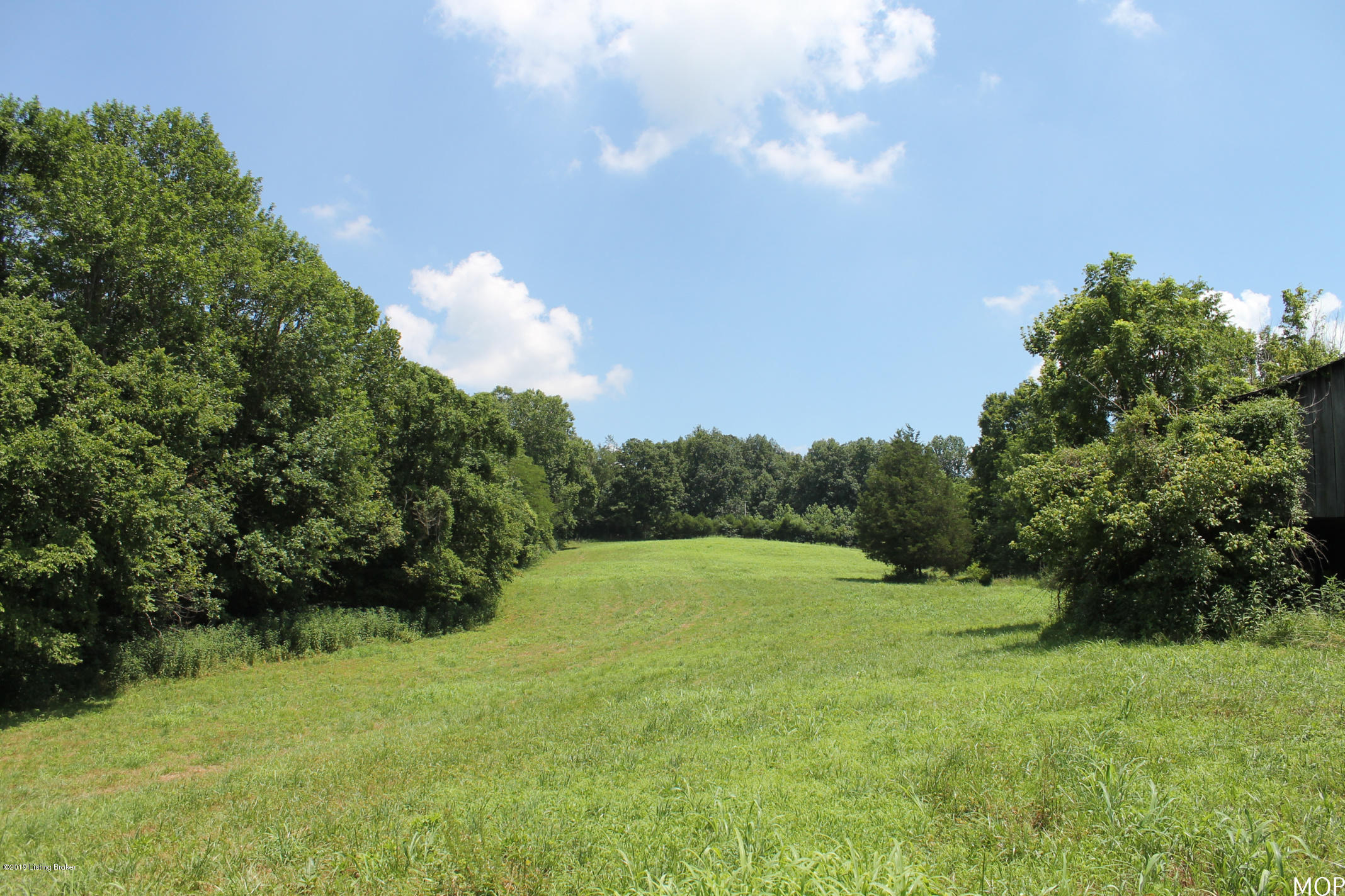 1000 Figett Bend Road Canmer, KY 42722 - Photo 16 of 61 IMG_2293