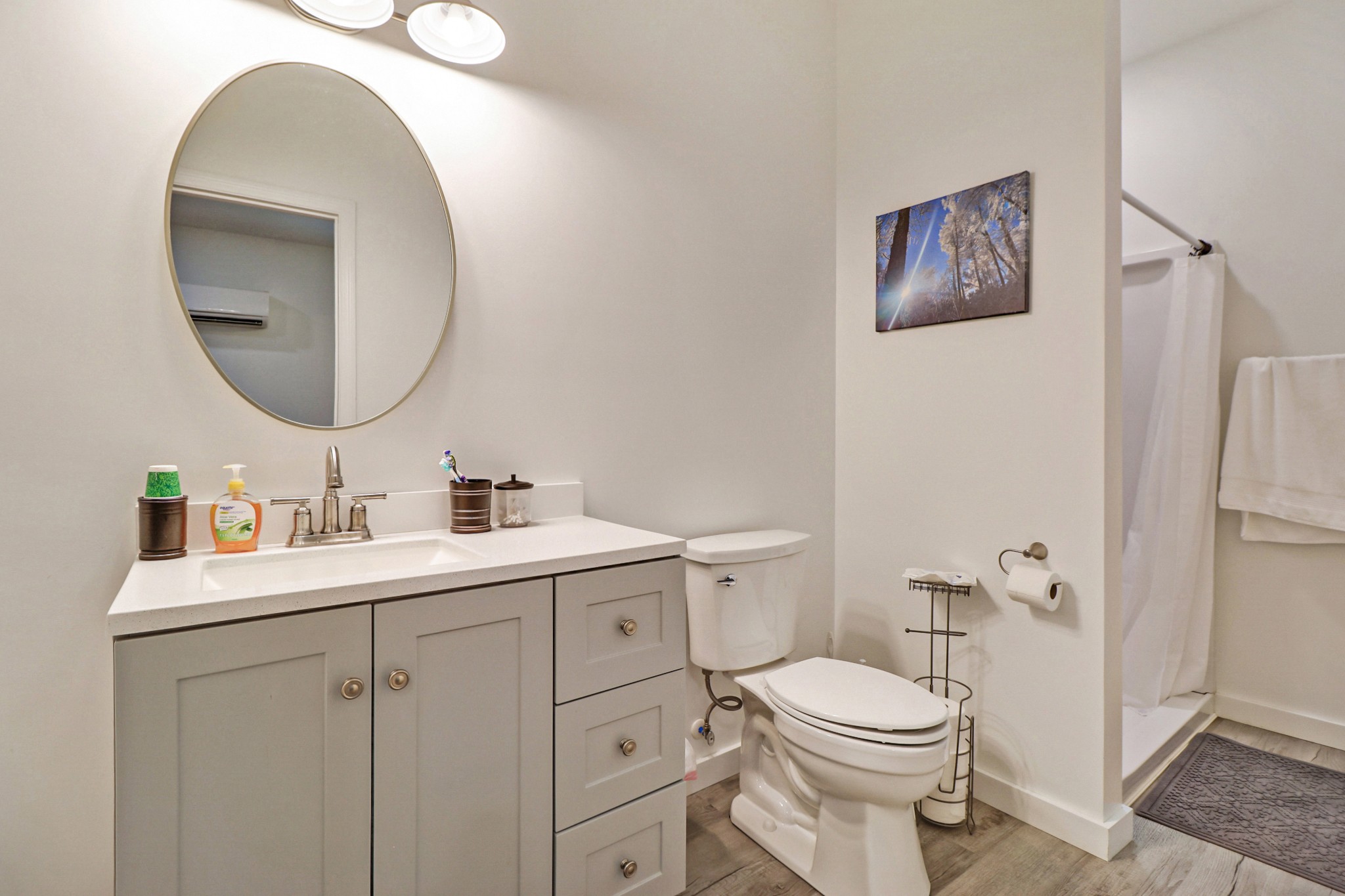 148 Porter Lane Spring City, TN 37381 - Photo 18 of 53 a bathroom with a toilet sink vanity and mirror