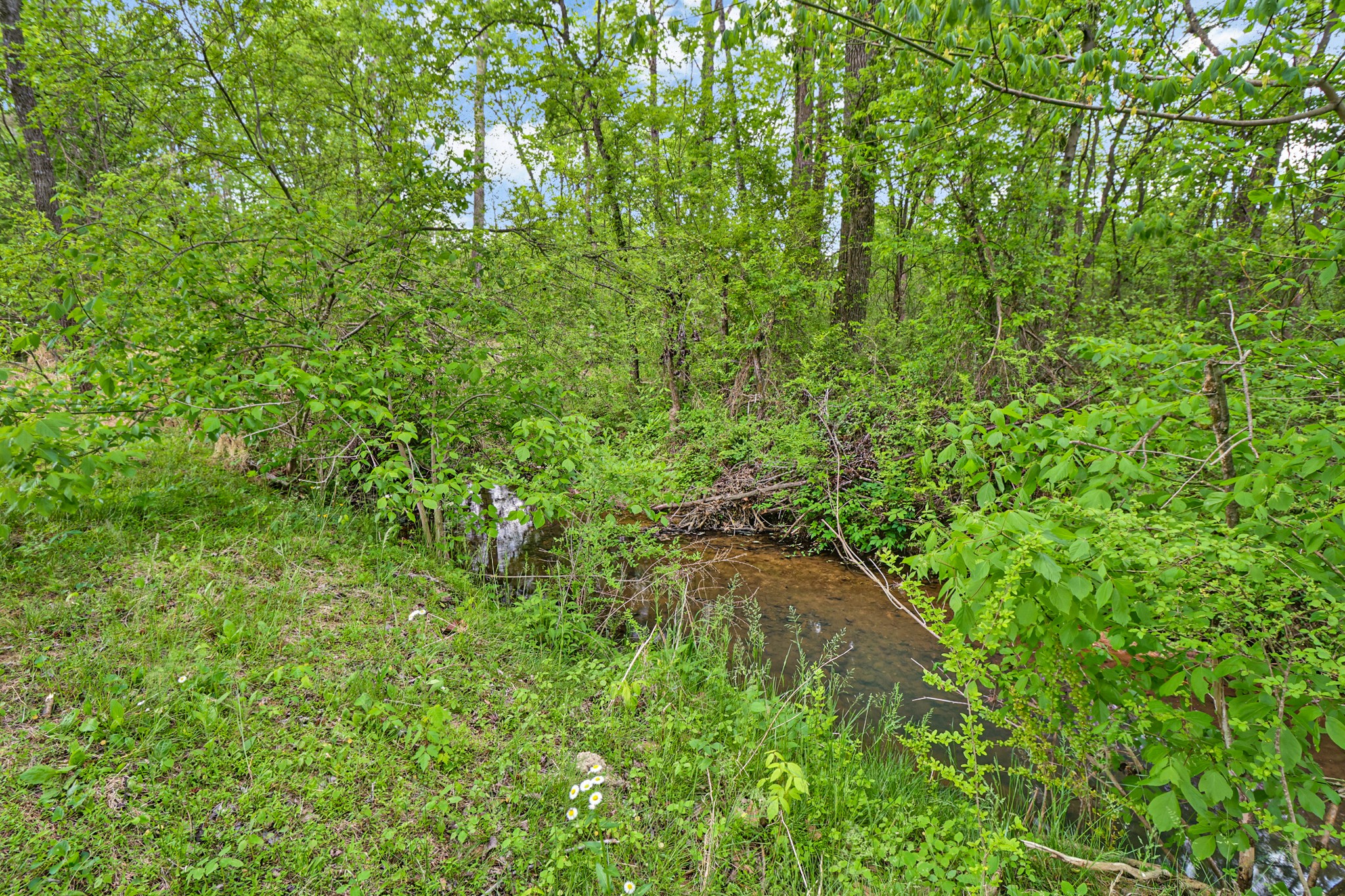 148 Porter Lane Spring City, TN 37381 - Photo 45 of 53 a map view of a yard