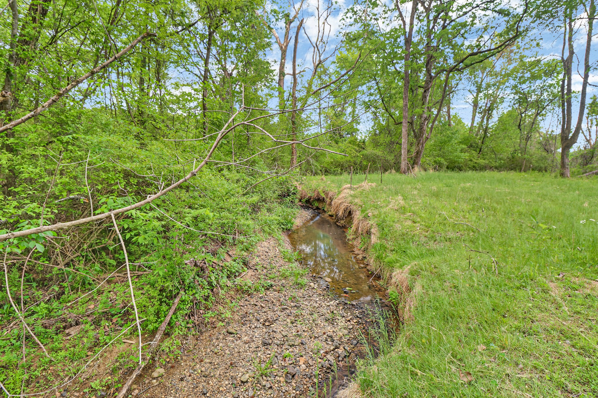 148 Porter Lane Spring City, TN 37381 - Photo 46 of 53 a backyard of a house with lots of plants and trees