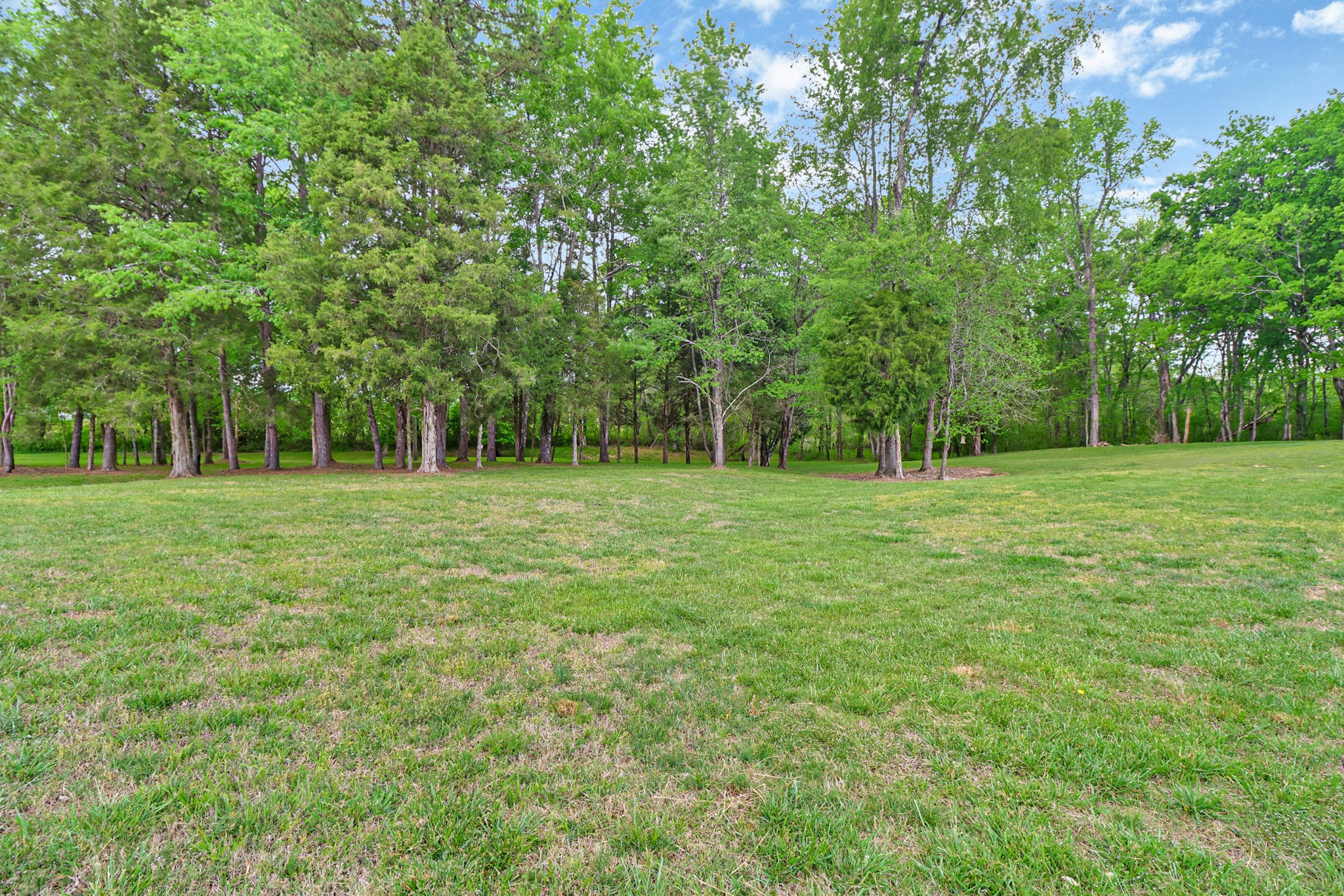 148 Porter Lane Spring City, TN 37381 - Photo 47 of 53 a grassy field with trees in the background