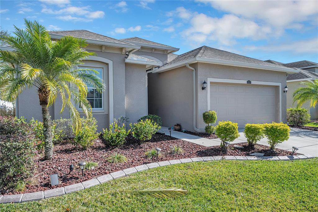 4143 Pacente Loop Wesley Chapel, FL 33543 - Photo 1 of 1 a view of a house with a yard and plants