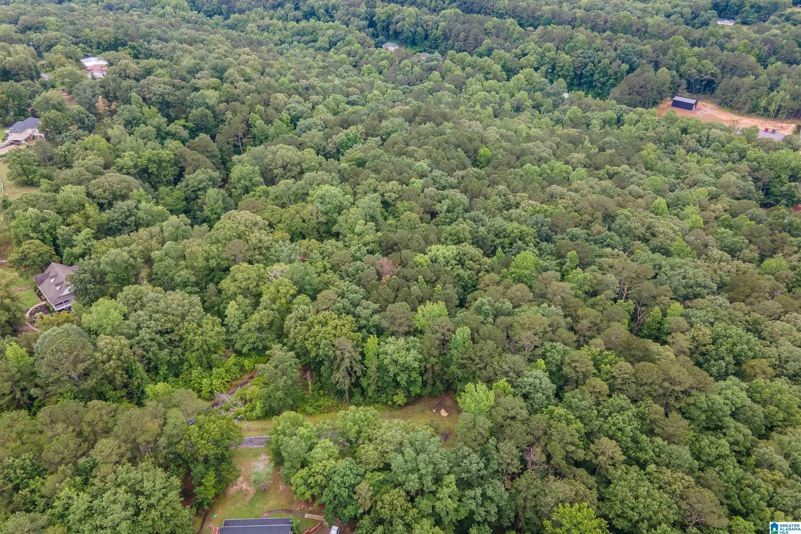 37 Forest Lane Warrior, AL 35180 - Photo 4 of 10