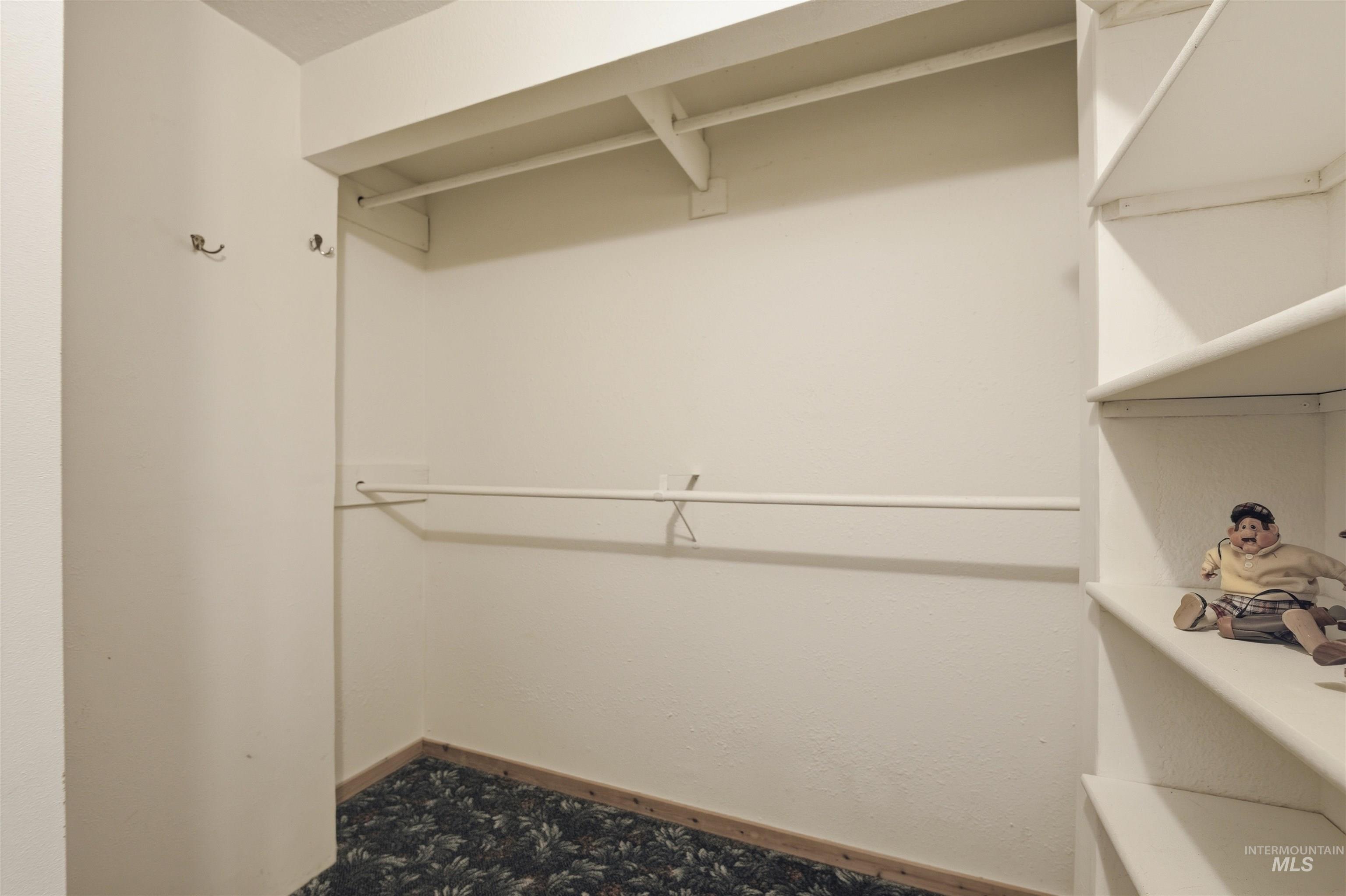 45 Rainbow Ridge Road Garden Valley, ID 83622 - Photo 24 of 41 Walk in closet featuring carpet flooring