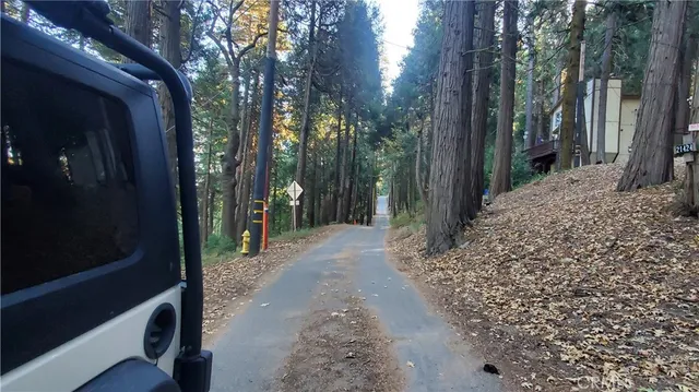 a view of a pathway of a yard