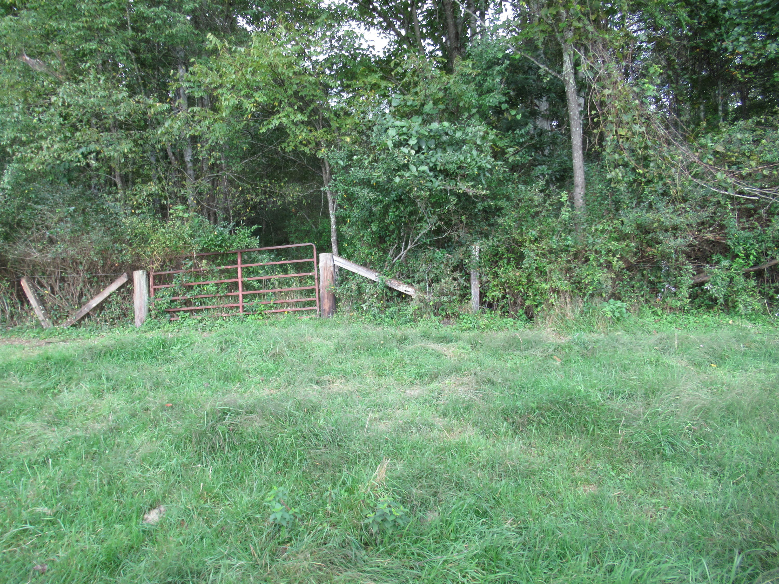 1905 Julia Road Renick, WV 24966 - Photo 32 of 38 Gallery Image 32