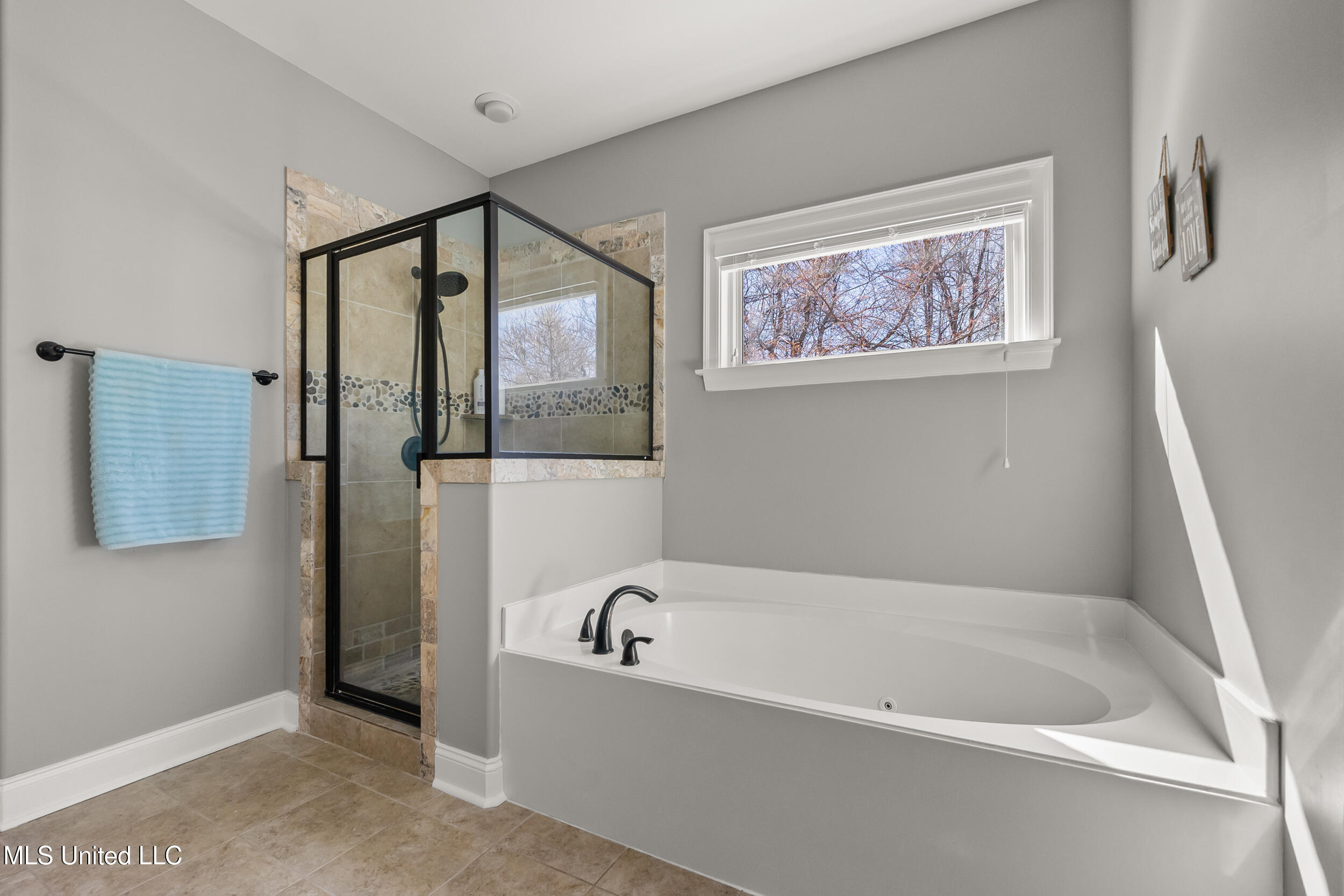 4691 Treadway Road Hernando, MS 38632 - Photo 24 of 34 Master Bathroom