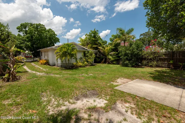 a view of a garden with an tree
