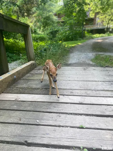 $795,000 | 305 East Martin Drive, Deer Creek, IL 61733