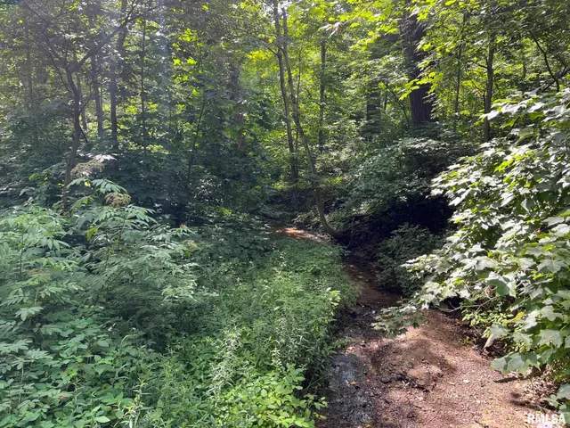 $795,000 | 305 East Martin Drive, Deer Creek, IL 61733