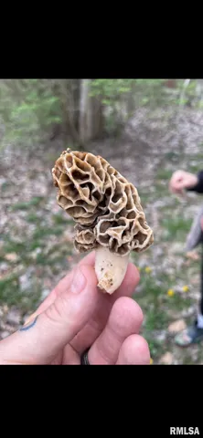 $795,000 | 305 East Martin Drive, Deer Creek, IL 61733