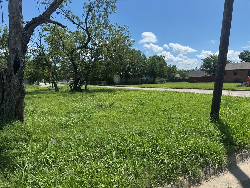 a view of a grassy field with trees in the background