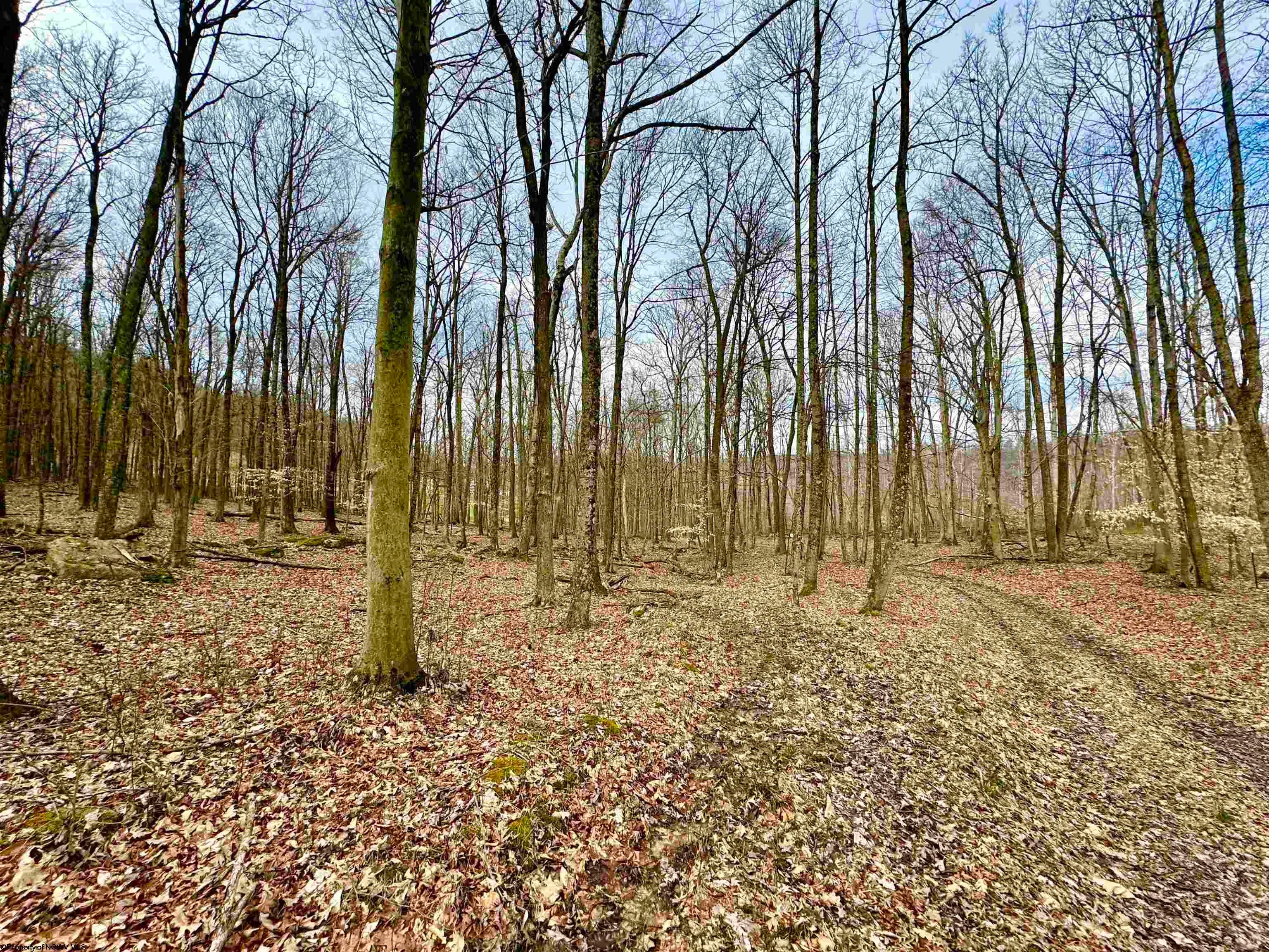 947 Murphy Road Philippi, WV 26416 - Photo 28 of 50 Gallery Image 28