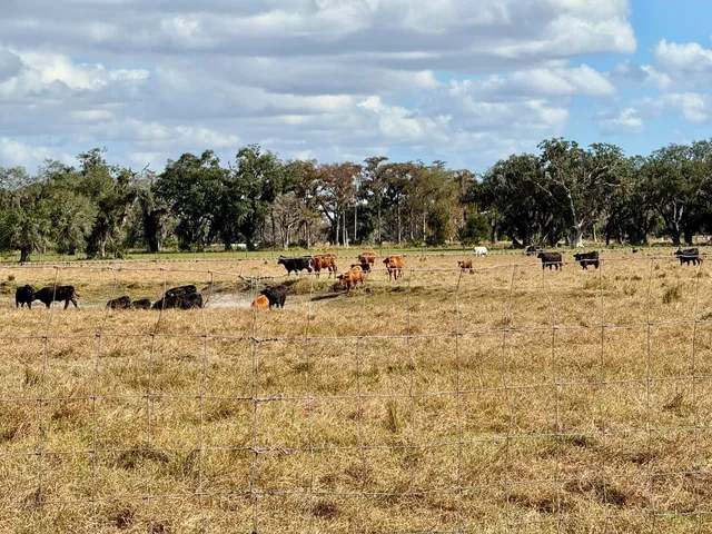 $329,000 | 5009 Southeast 42nd Street, Okeechobee, FL 34974