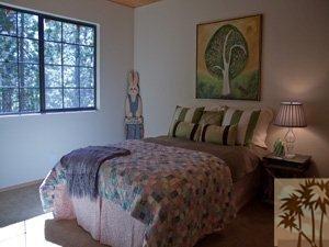 55243 Dickenson Road Idyllwild, CA 92549 - Photo 15 of 21 Additional Photo