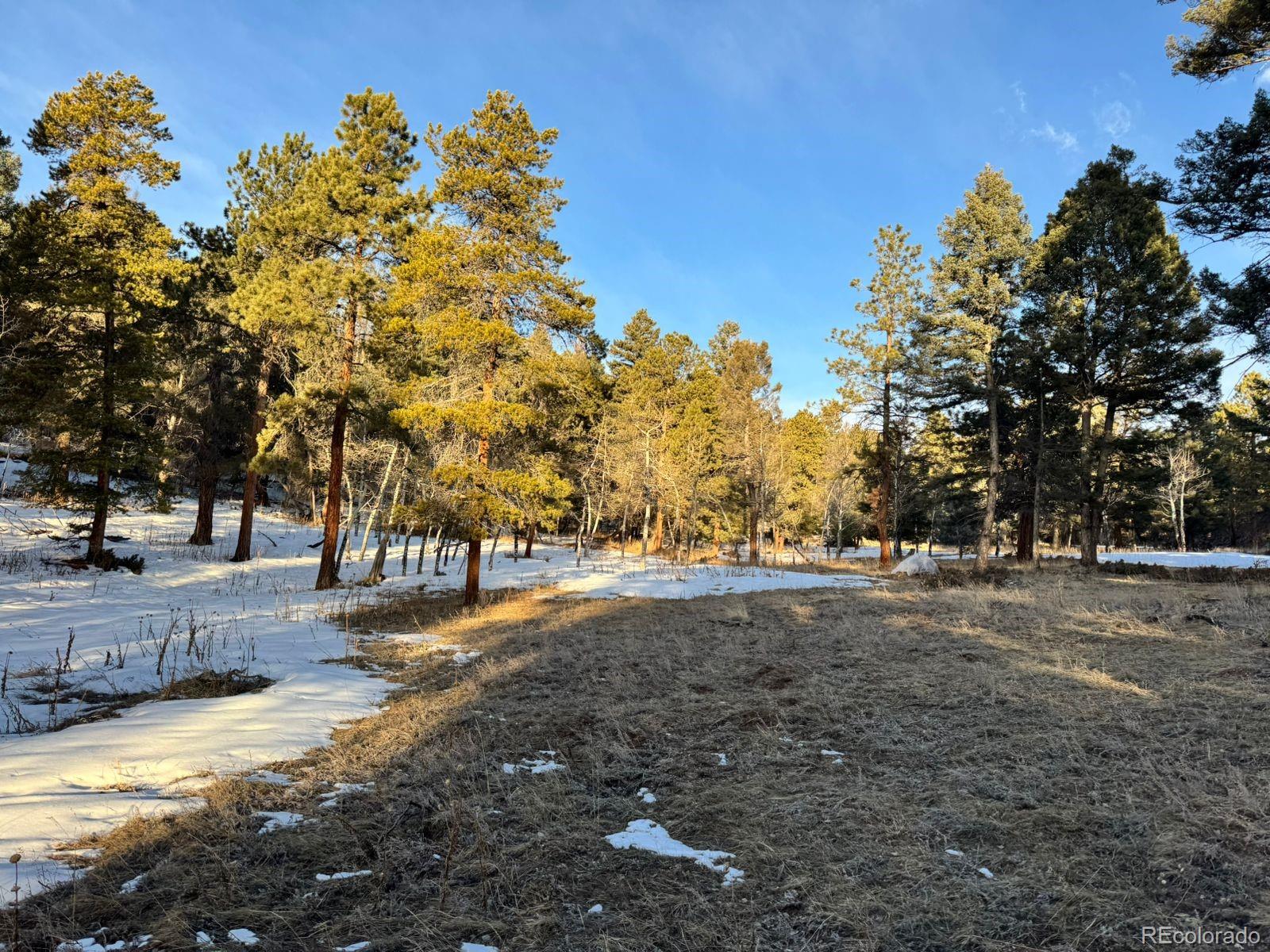 12763 South Wamblee Valley Road Conifer, CO 80433 - Photo 14 of 16 Gallery Image 14