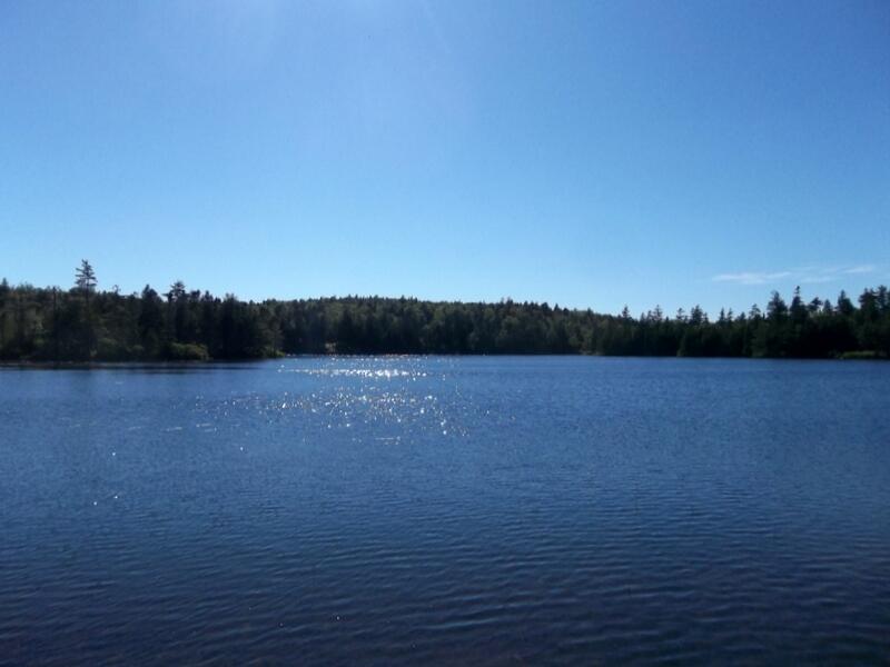 X X Goulding Lake Road Robbinston, ME 04671 - Photo 11 of 20 100_9970