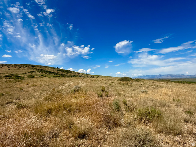 160 Dry Canyon St. Charles, ID 83272 - Photo 32 of 63 Expansive undeveloped land featuring natural terrain with diverse vegetation and distant mountain ranges